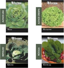 Kit 4 Sementes Hortaliças Salada Horta Em Casa Jardins Vasos(Alface Crespa, Alface Lisa, Repolho, Rúcula)
