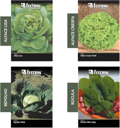 Kit 4 Sementes Hortaliças Salada Horta Em Casa Jardins Vasos(Alface Crespa, Alface Lisa, Repolho, Rúcula)