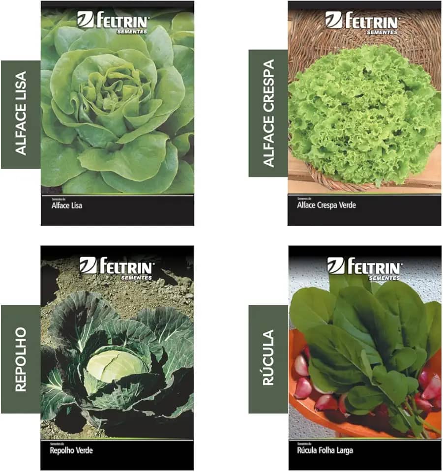 Kit 4 Sementes Hortaliças Salada Horta Em Casa Jardins Vasos(Alface Crespa, Alface Lisa, Repolho, Rúcula)
