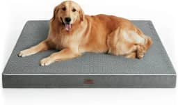 Cama para cães extragrande, cama ortopédica grande para cães GG, capa lavável e impermeável, tapete grande de pelúcia para animais de estimação, camas de espuma de ovo