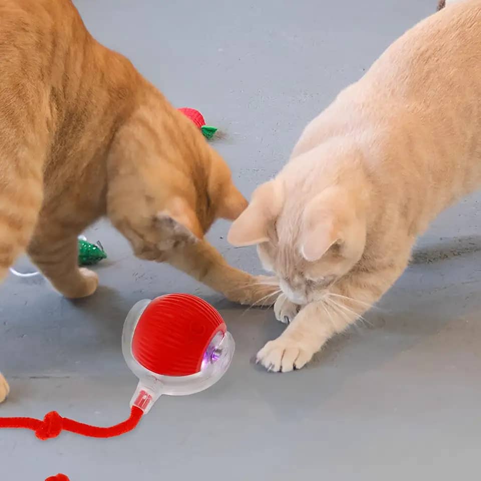 1/2/3 peças bola rolante elétrica para animais de estimação brinquedo automático bola de gato brinquedo inteligente autorolante brinquedo seguro para cães que se movem sozinho, 4 modos USB