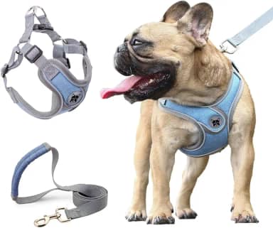 Coleira Peitoral para Cachorros, Peitoral para Cachorros Pequenos, Coleiras Ajustáveis, Peitorais e Guias para Cães, para Treinamento e Corrida, Cães Pequenos, Médios e Grandes (G)