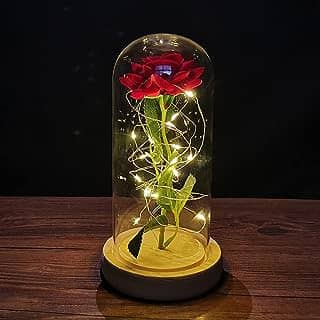 ZWMBYN Presentes de Dia dos Namorados Rosa A Bela e a Fera para ela, Acenda para sempre Galaxy Rose em cúpula de vidro, flor artificial rosa de vidro presente para mulheres no aniversário,