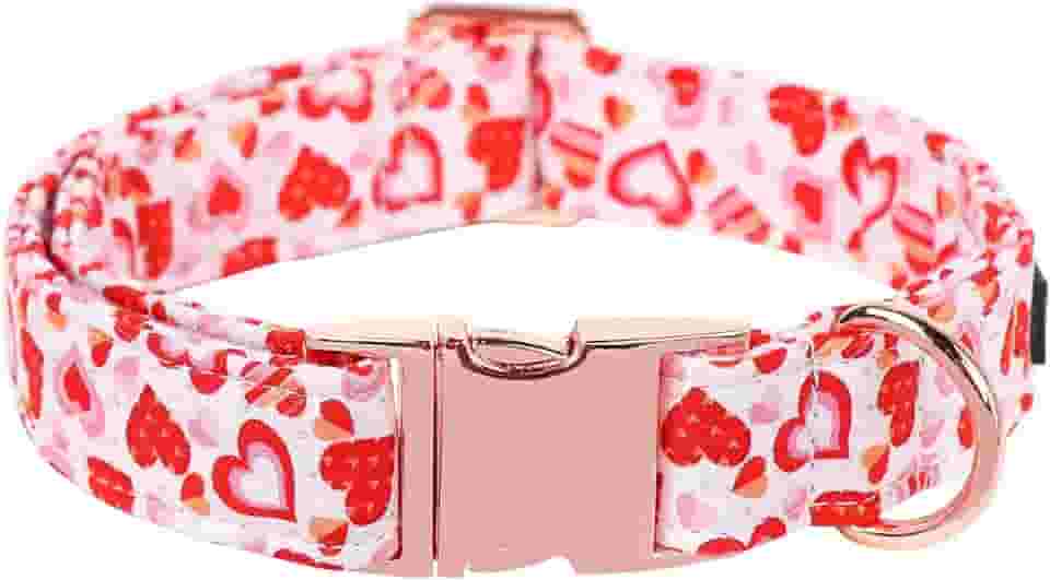 Maca Bates Coleira de Dia dos Namorados Confortável Coração Macio Coleira para Cachorro com Fivela de Metal Ajustável Coleira para Filhote de Dia dos Namorados para Cães Pequenos, Médios e Grandes