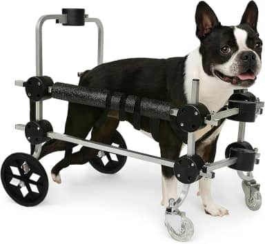 Cadeira De 4 Rodas Cachorro Tamanho M Médio Andador Cão Pet Best Soluções