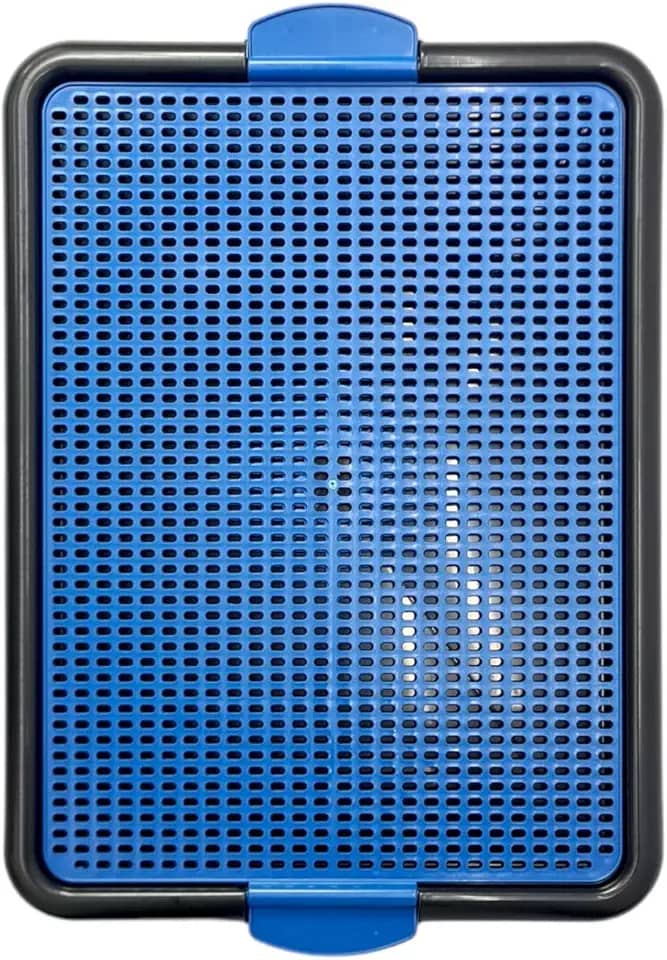 Sanitário Canino Xixi Dog Banheiro Pet Tapete Higiênico Cães Premium (Azul)