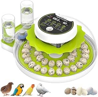 Incubadora de ovos de codorna para incubação com rotação automática de ovos e controle de umidade, 40 ovos de grande capacidade, chocadeira de codorna, também para papagaio, pomba, canário e outras