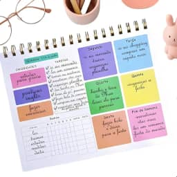 Planner Semanal com 50 Folhas, Capa de Acetato e Aramado, Organizador Colorido com Divisões Completo, Anotações, Tarefas, Prioridades e Rotina, Planner Semanal de Mesa