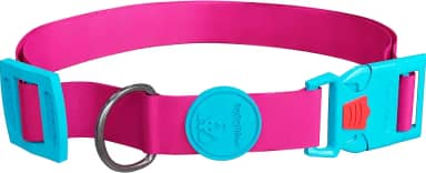 Coleira Para Cachorro Diversos Tamanhos E Estampas (M, NEW PINK)