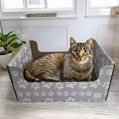 SnuggleSprunce arranhador 2 em 1 para gatos, brinquedo resistente, caixa de papelão ecológica com almofada dupla face recarregável, para gatos e gatinhos, móveis internos para animais de estimação