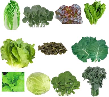 Kit 220 Sementes de Hortaliças e Ervas, 10 Variedades, para Horta Caseira