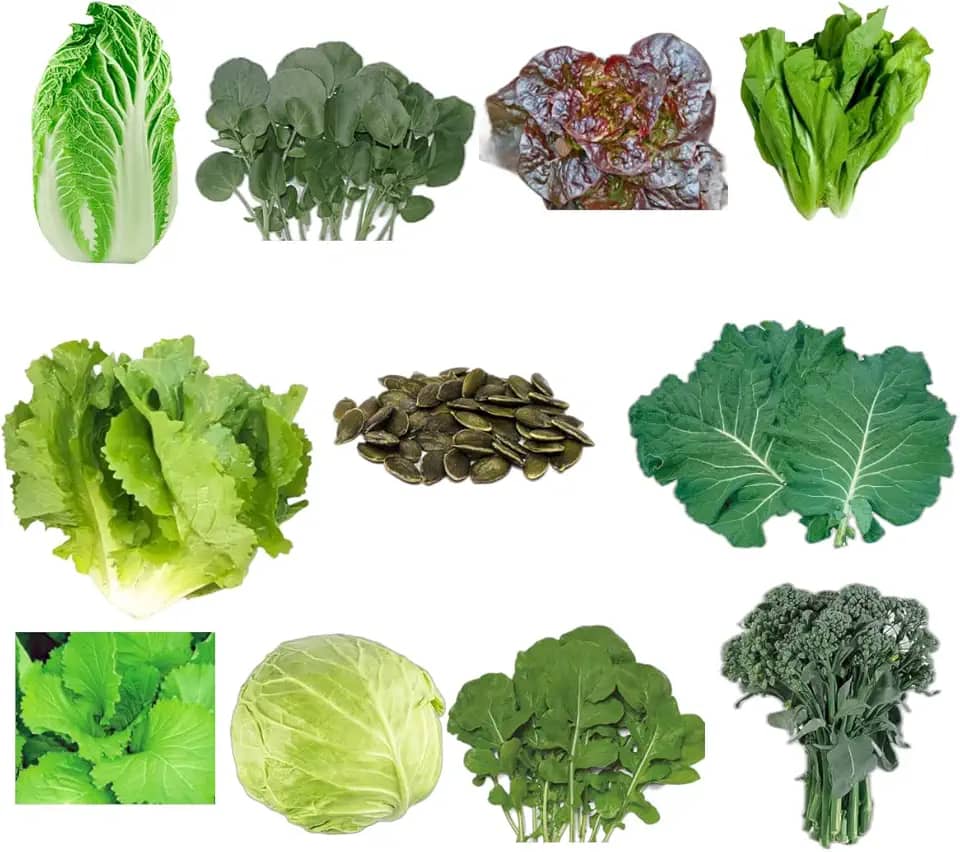 Kit 220 Sementes de Hortaliças e Ervas, 10 Variedades, para Horta Caseira