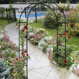 Siuchuen Treliça de Arco de Jardim para Plantas Trepadeiras, Suporte de Cenário de Flores de Arco de Casamento de Metal, Decoração de Balão Arbor de Arco de Jardim para Casamento, Festa de Jardim, Flo