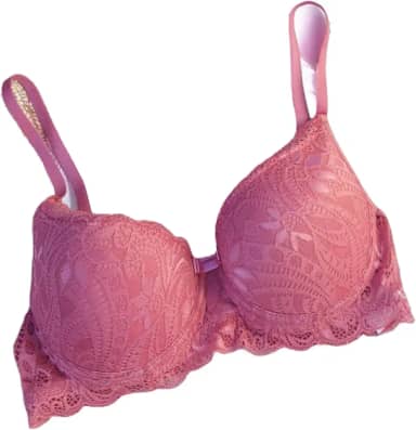 Sutiã Feminino com Bojo Rendado com Aro Sutia de Renda com Alças Reguláveis Lingerie Soutien