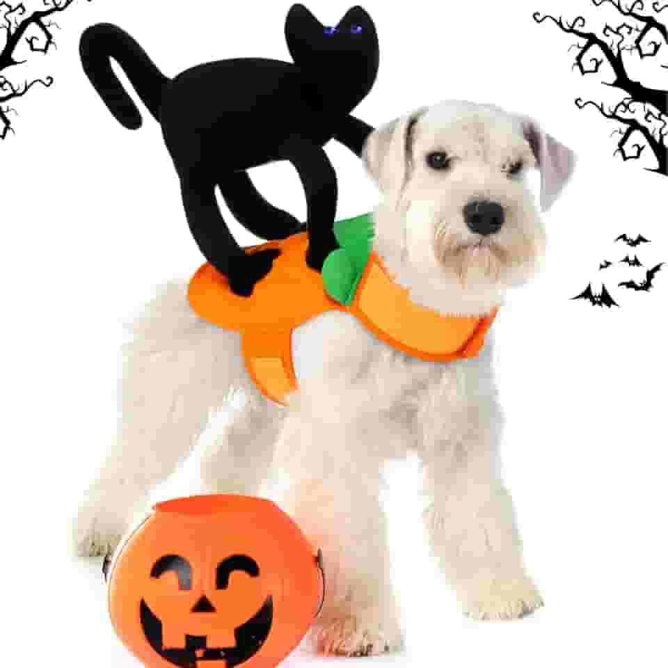 Huhumy Fantasia de Halloween para cachorro, gato, fantasia de Halloween com gato preto, roupas engraçadas para animais de estimação para filhotes, cosplay, festas de fim de ano, acessórios de fantasia