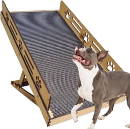 Rampa Pet Antiderrapante com 4 níveis de regulagem com proteção lateral