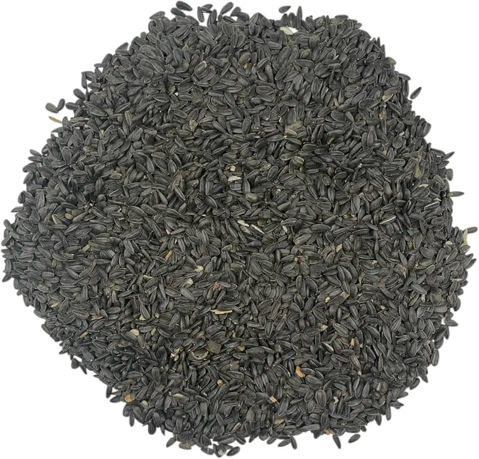 TRAILMARK NATURALS - Sementes de girassol de óleo preto de 1,3 kg para pássaros – Vida selvagem premium e ração para pássaros – Cultivadas nos EUA – Sem OGM – Sementes de girassol de óleo preto para