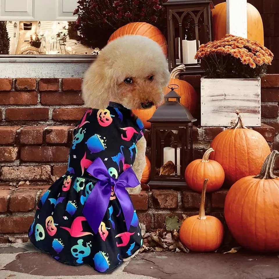 Vestidos de Halloween para cães, fantasias de cachorro, abóbora e roupa de esqueleto com laço
