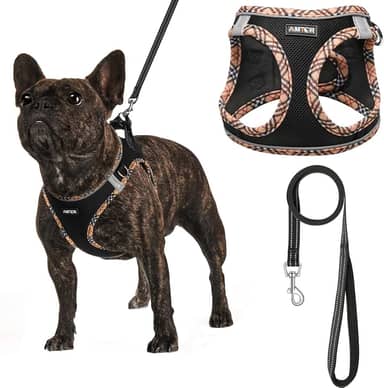 AMTOR Coleira Peitoral para Cachorros com Guia, Arnês Reflexivo Ajustável para Filhotes com Colete Acolchoado para Cães e Gatos, XS (Preto Amarelo)