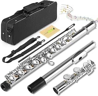 16 Furos C Flauta Chave Fechada, Kit Flauta Transversal Prateada Dó, Flauta Transversal Niquelada 16 Chaves, Flauta de Furo Fechado Banhado a Níquel, Orifício Fechado C 16 Instrumento de Flauta