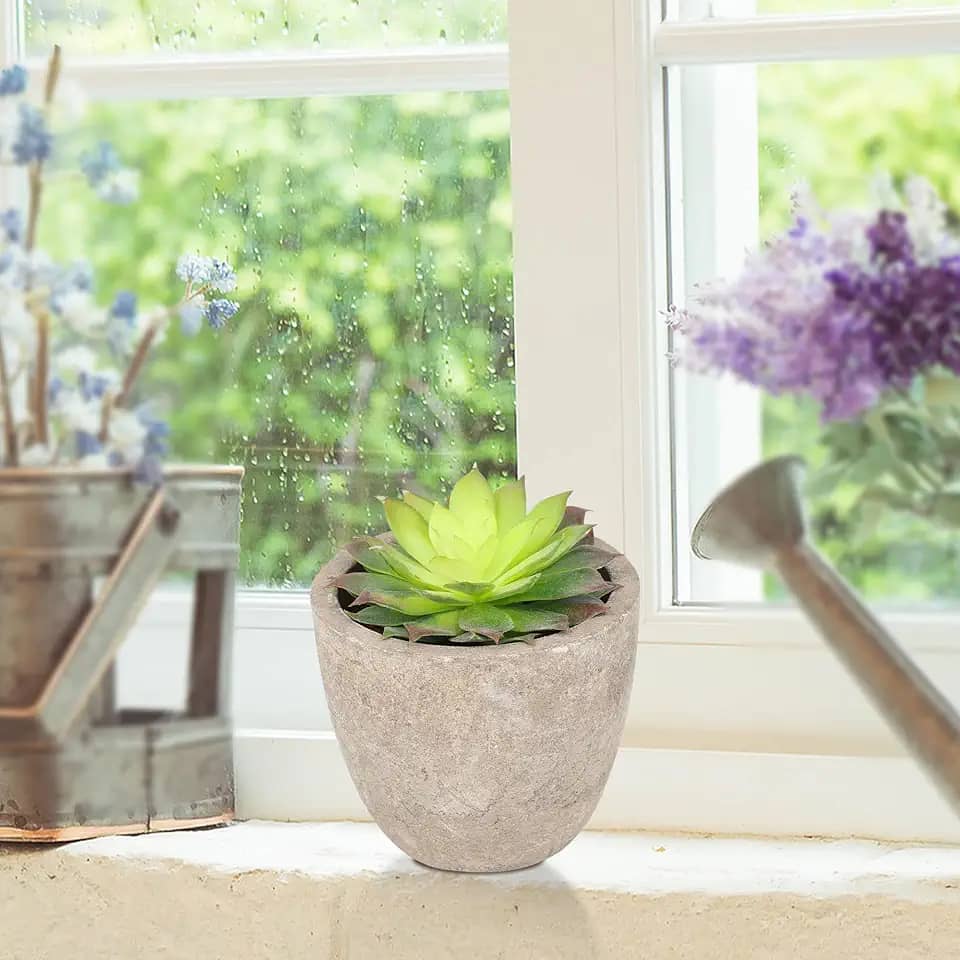 1 peça de plantas suculentas artificiais em vaso, suculentas artificiais decorativas, cactos falsos, cactos com vasos