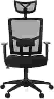 Cadeira Para Escritório Presidente Giratória Ergonômica ANM312 P