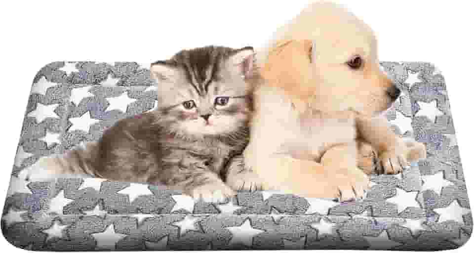 WITTOP Cama de cachorro lavável ortopédica para uso ao ar livre com fundo antiderrapante, almofada macia de luxo para animais de estimação, almofada aconchegante para gaiola e colchão de dormir para