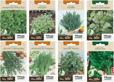 Kit 8 Sementes de Horta Temperos Alecrim Cebolinha Hortela Manjericao Oregano Tomilho Coentro Naturais Jardim Caseiro