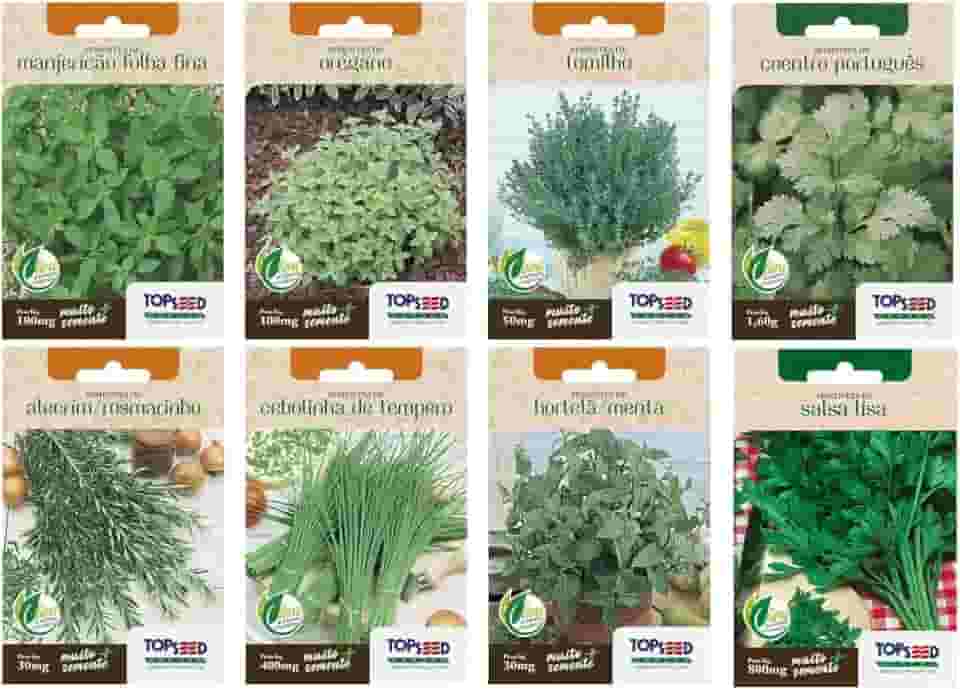 Kit 8 Sementes de Horta Temperos Alecrim Cebolinha Hortela Manjericao Oregano Tomilho Coentro Naturais Jardim Caseiro