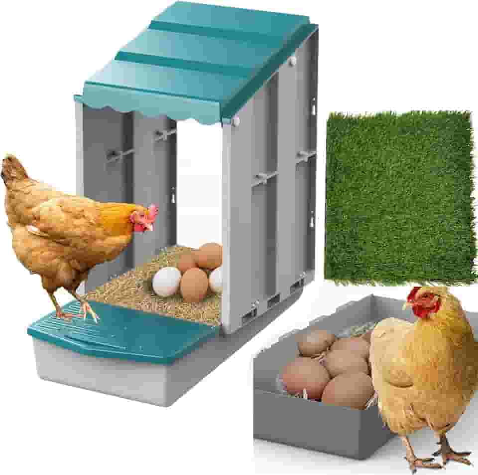 AUTENS Caixas de ninho de frango, 1 caixa de assentamento de furos, 1 tapete de ninho, caixa de ninho de galinha dobrável de plástico, rolo de ovo com área de coleta protegida de ovos de poleiro,