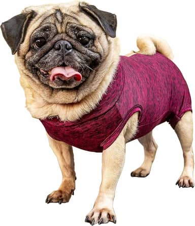 Roupa pós-cirúrgica para PUG fêmea - Tam 5 peso 11 a 15kg - Pet Designer
