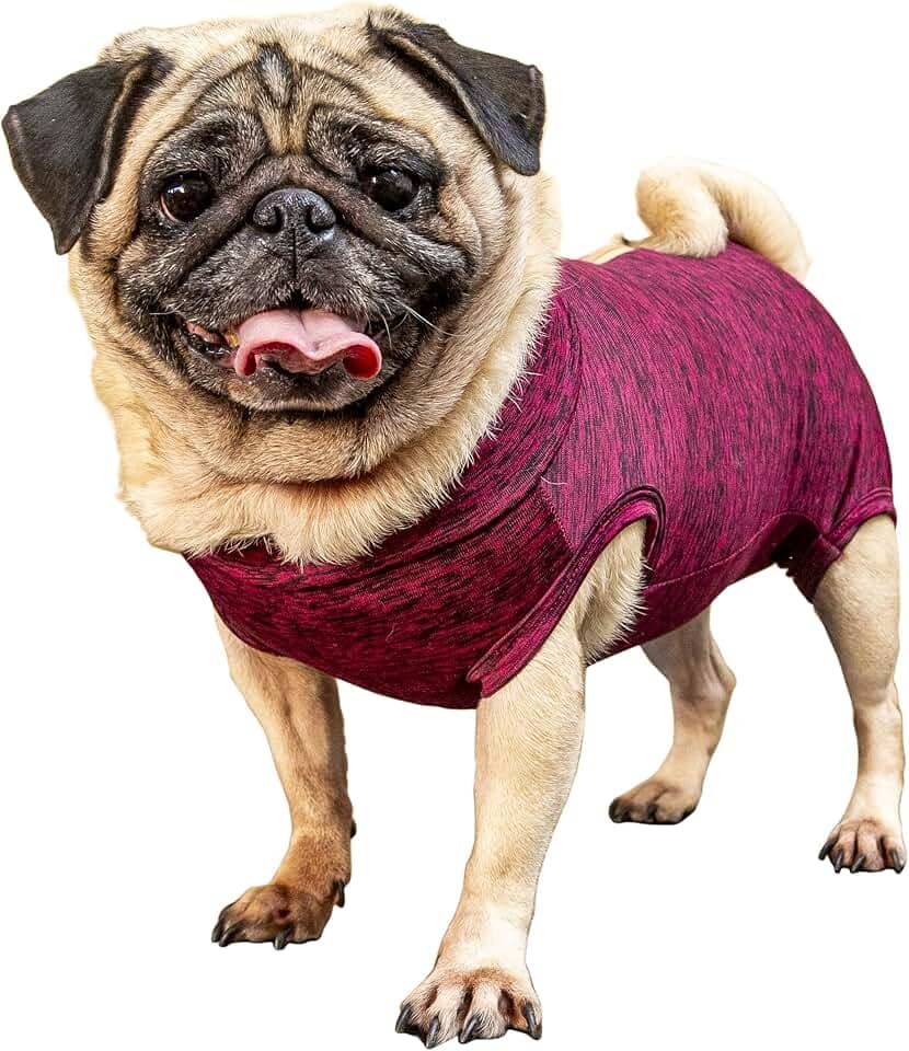 Roupa pós-cirúrgica para PUG fêmea - Tam 5 peso 11 a 15kg - Pet Designer