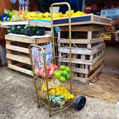 Carrinho de Compras Dobravél para Feira e Supermercado 4 Tubo PRATA com 2 Rodas Reforçadas Águia (Dourado)