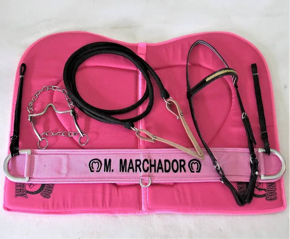 Kit de Montaria Profissional Couros Allas para Cavalo Rosa Luxuoso