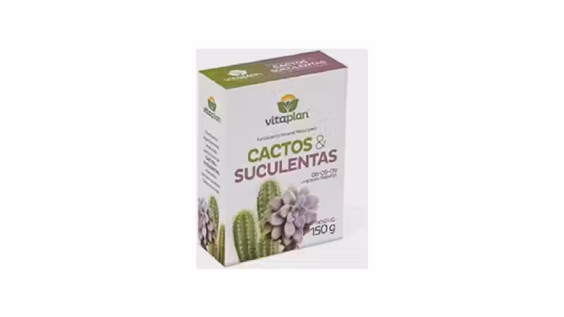 Melhor Adubo para Plantas Suculentas: Nutrição Essencial