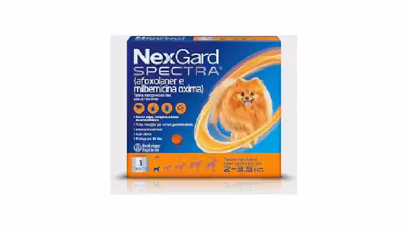 Melhor Antipulgas para Cachorro Filhote: Guia Essencial!