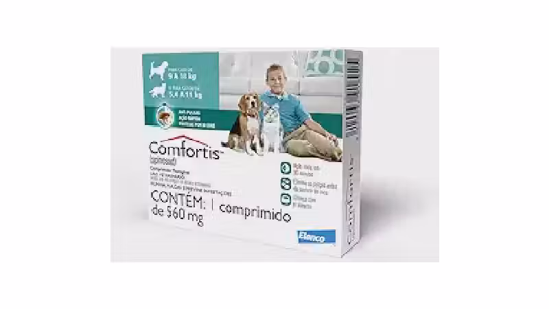 Melhor Antipulgas para Gatos Comprimido: 5 Opções Seguras