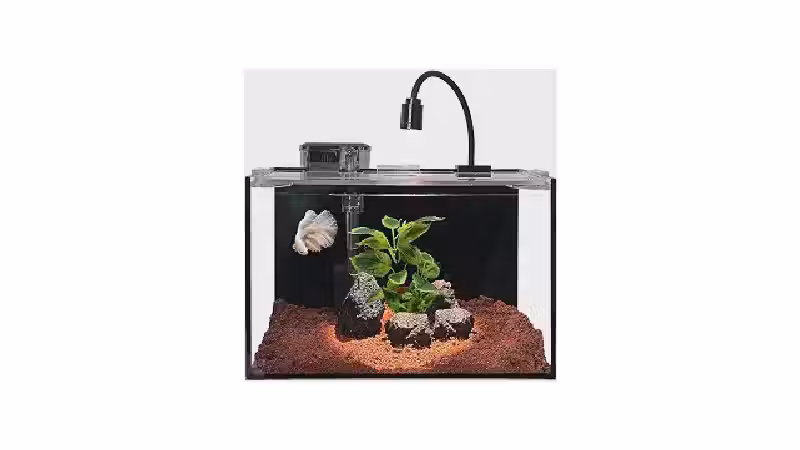 Melhor Aquário para iniciantes: Kits Compactos e Decorativos