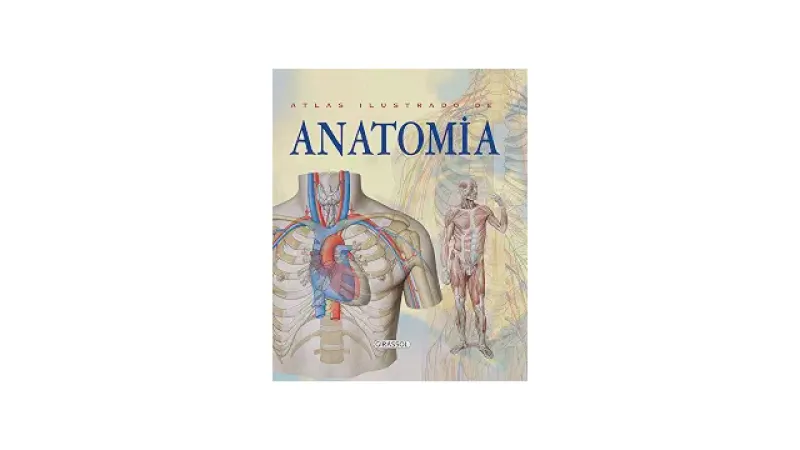 Melhor Atlas de Anatomia 3D: Guia Completo para Estudantes