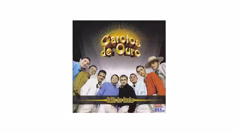 Melhor Bailão: Descubra os Clássicos Que Dominam a Festa