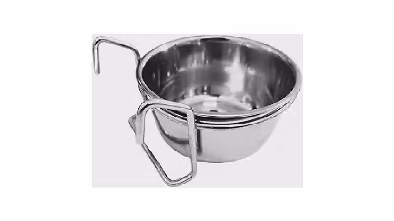 Melhor Bebedouro para Calopsita: Guia Completo