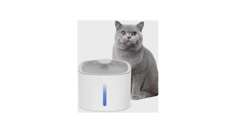 Melhor Bebedouro para Gatos: Fonte Silenciosa e Automática