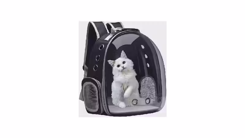 Melhor Bolsa de Transporte para Gato: 10 Modelos Seguros