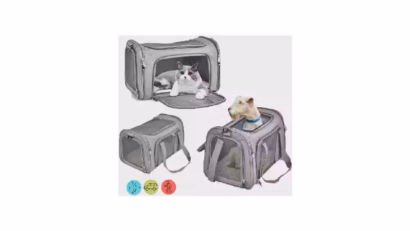 Melhor Bolsa de Transporte para Gatos: Guia Essencial