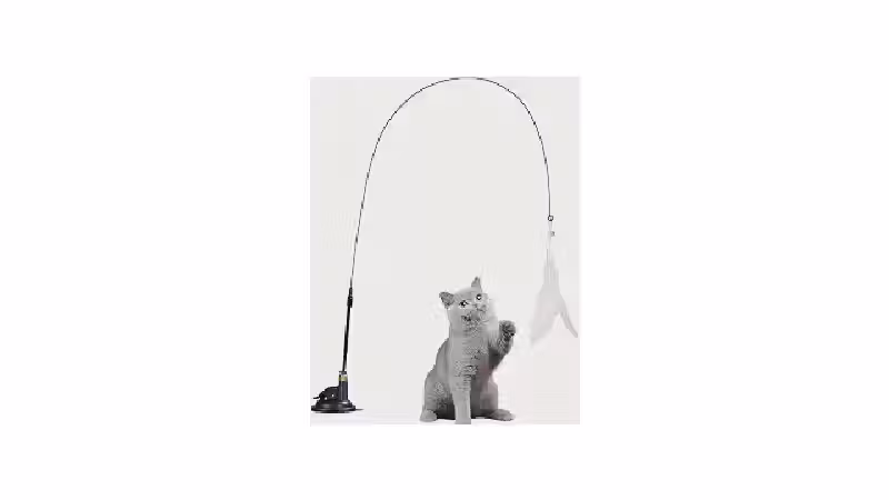 Melhor Brinquedo para Gato Filhote: Diversão e Estímulo Garantidos!