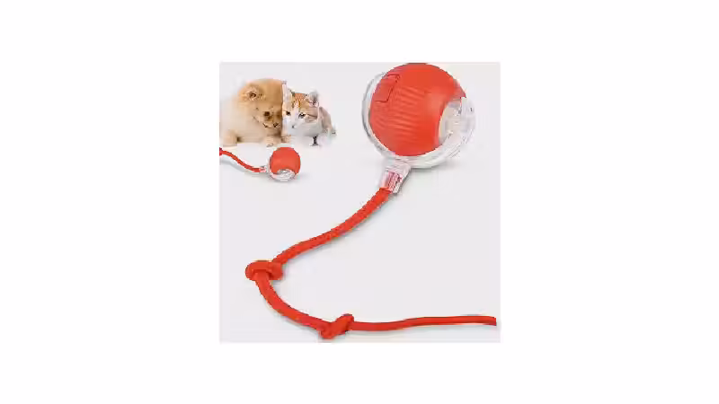 Melhor Brinquedo para Gato: Diversão e Estimulo Garantidos!
