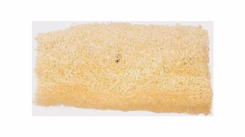 Melhor Bucha Vegetal: 10 Modelos Sustentáveis