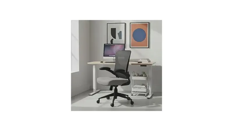 Melhor Cadeira Ergonômica Nr17 Bem Avaliados: Conforto e Suporte Certificados