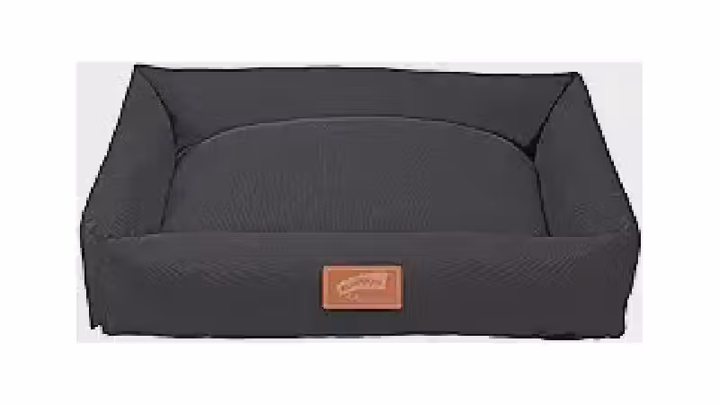 Melhor Cama para Cachorro Grande: Conforto e Durabilidade
