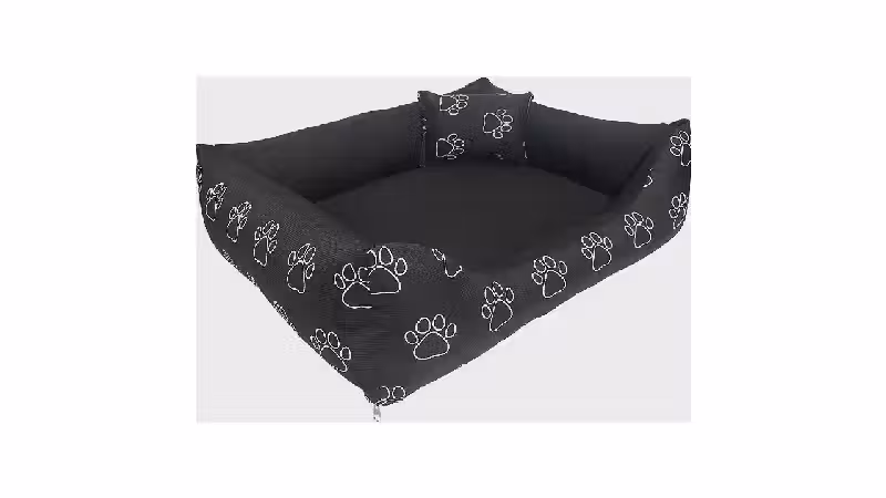 Melhor Cama para Cachorro: 10 Modelos de Alta Durabilidade